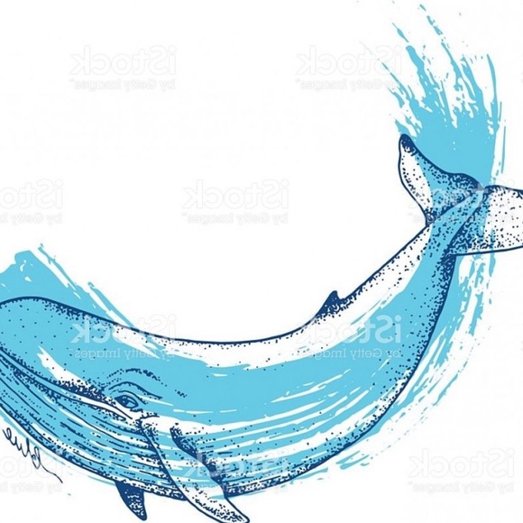 bradblue